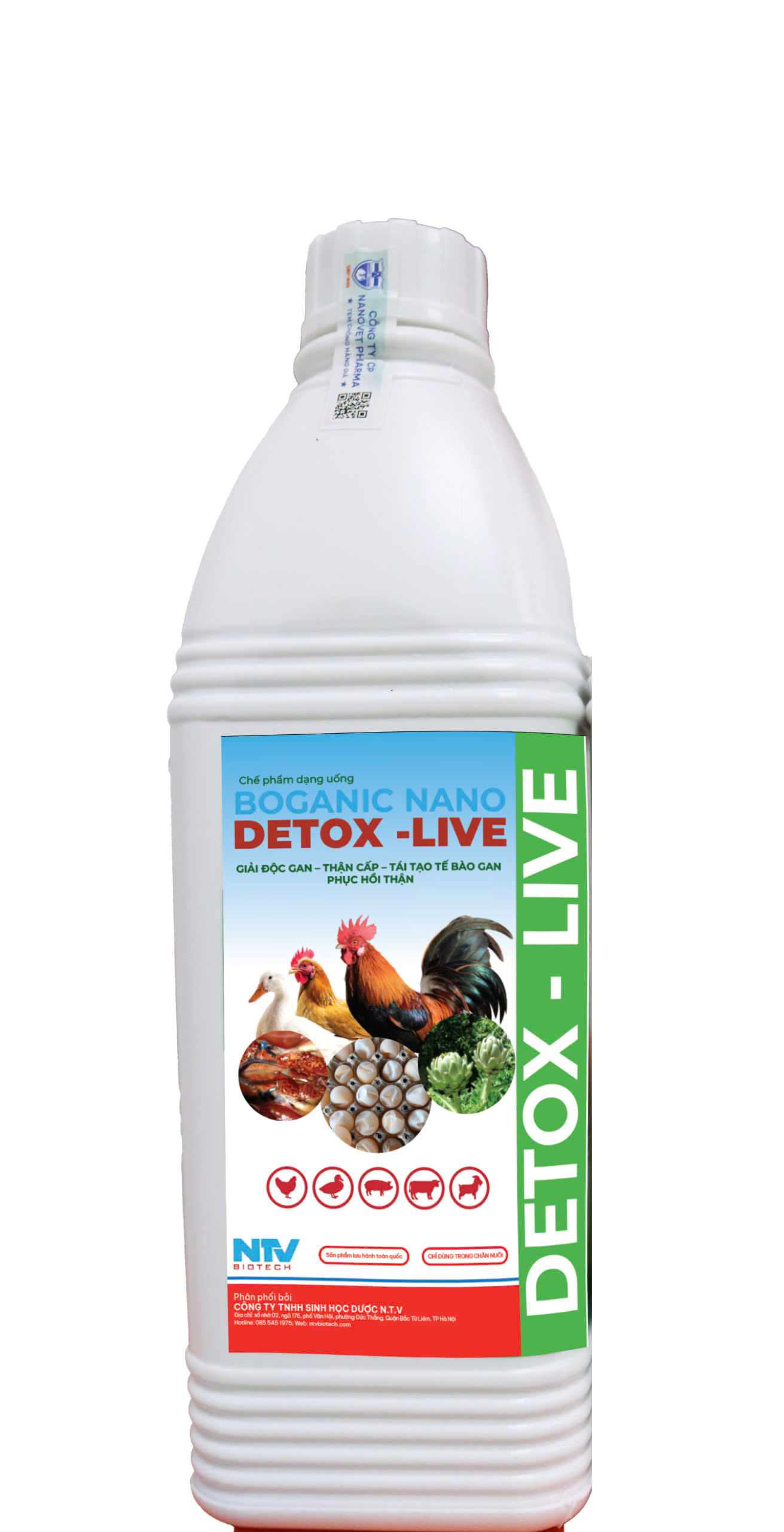 detox-live